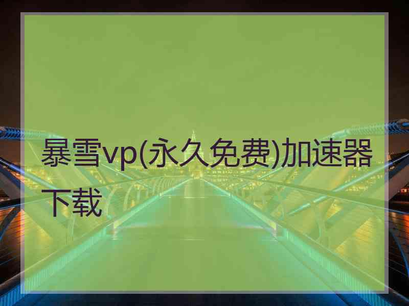 暴雪vp(永久免费)加速器下载