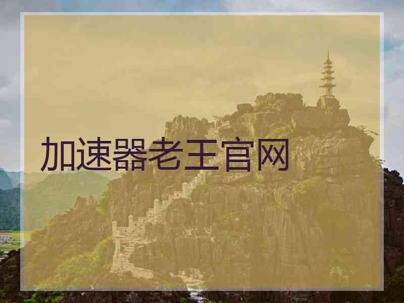 加速器老王官网