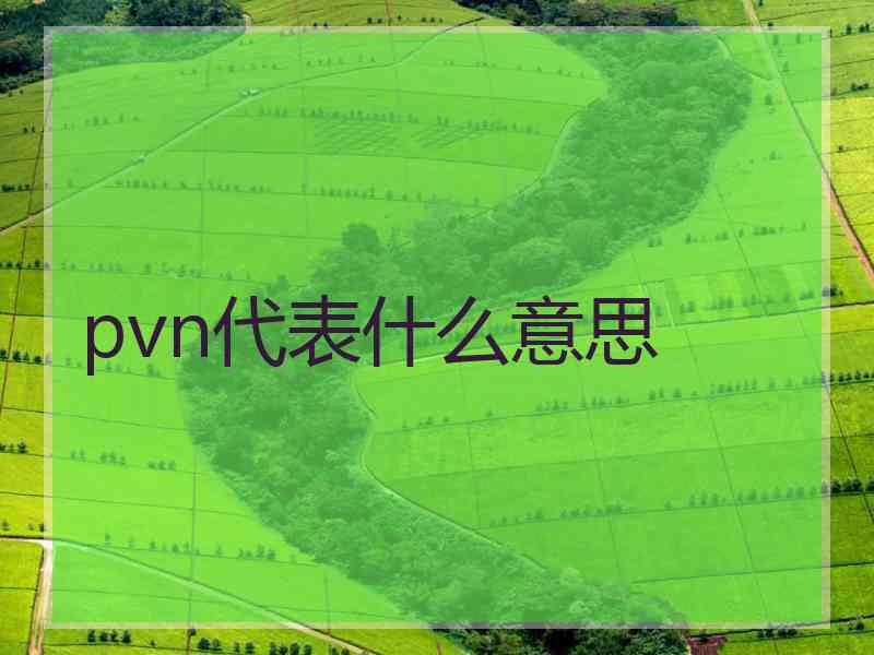 pvn代表什么意思