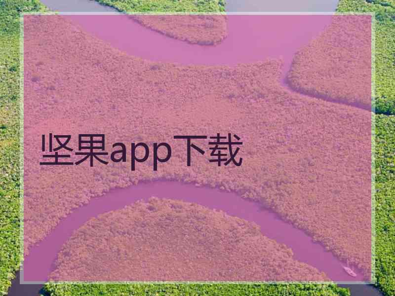 坚果app下载