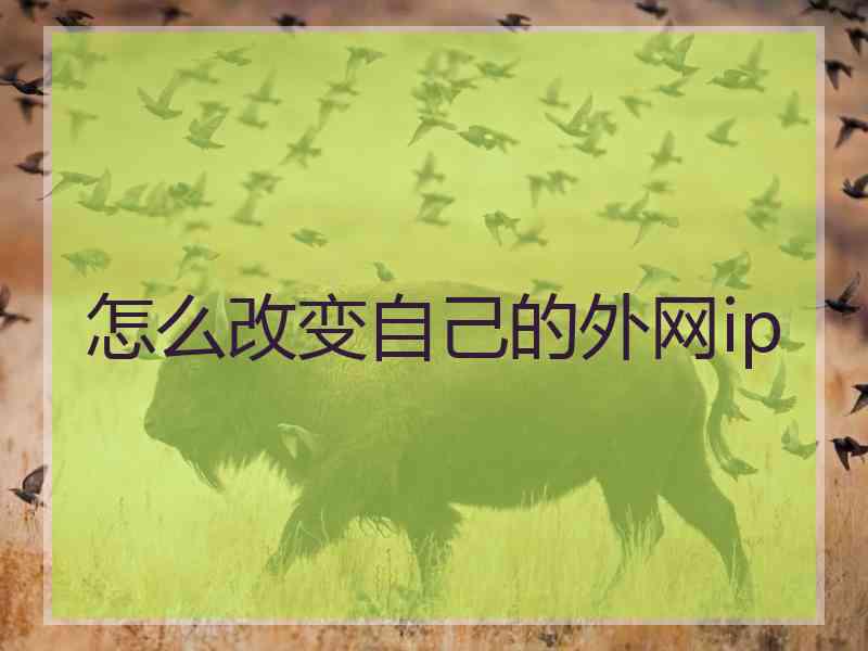 怎么改变自己的外网ip