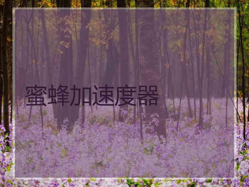 蜜蜂加速度器