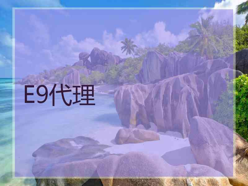 E9代理