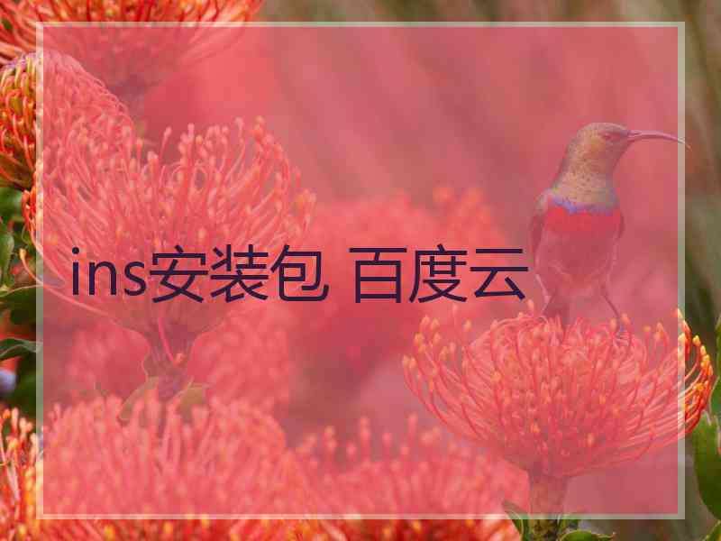 ins安装包 百度云