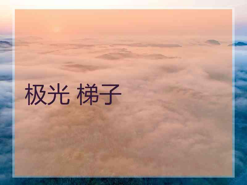 极光 梯子