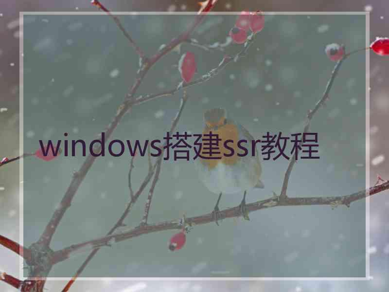 windows搭建ssr教程