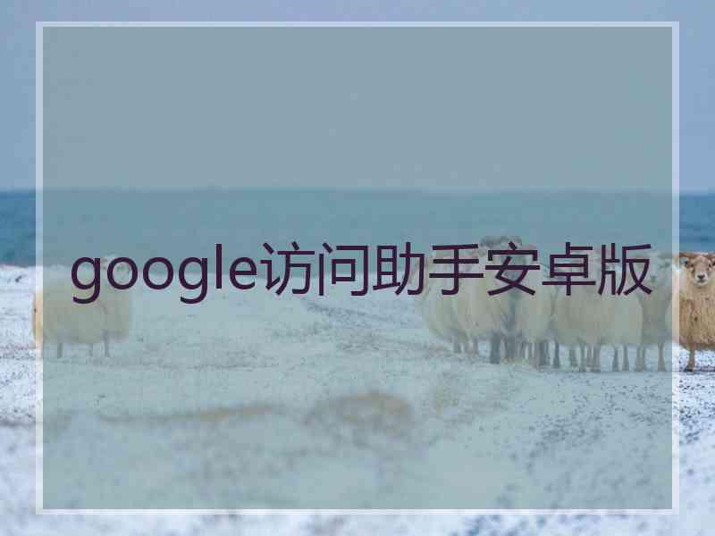 google访问助手安卓版
