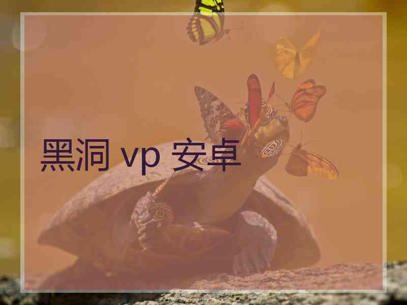 黑洞 vp 安卓