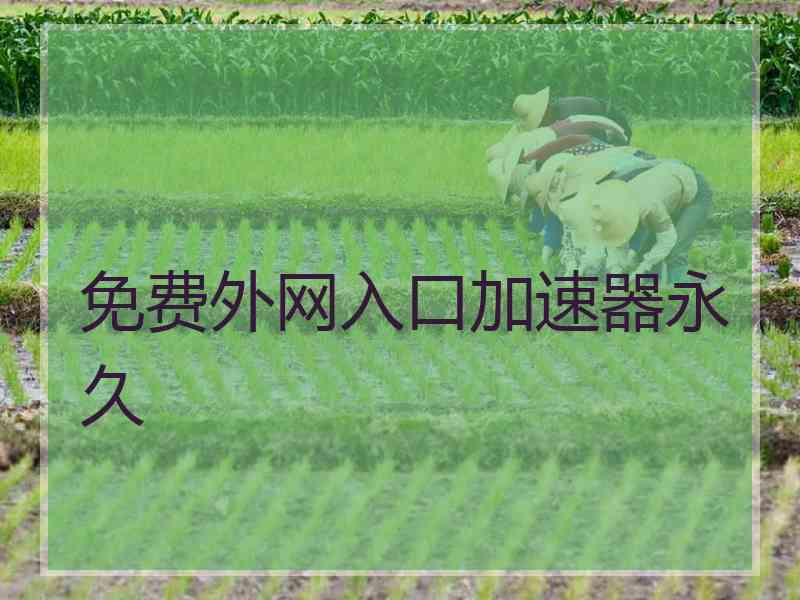 免费外网入口加速器永久