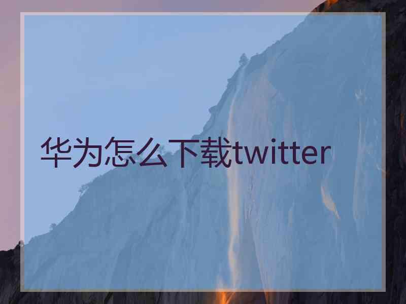 华为怎么下载twitter