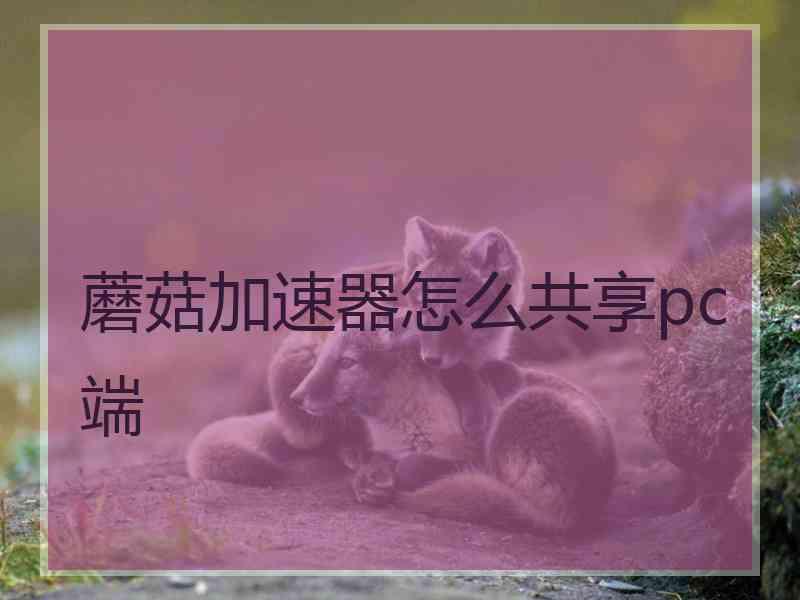 蘑菇加速器怎么共享pc端