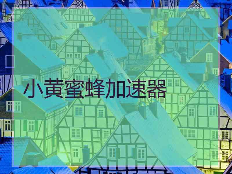 小黄蜜蜂加速器