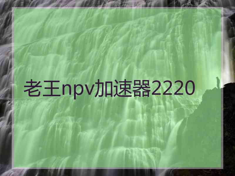 老王npv加速器2220