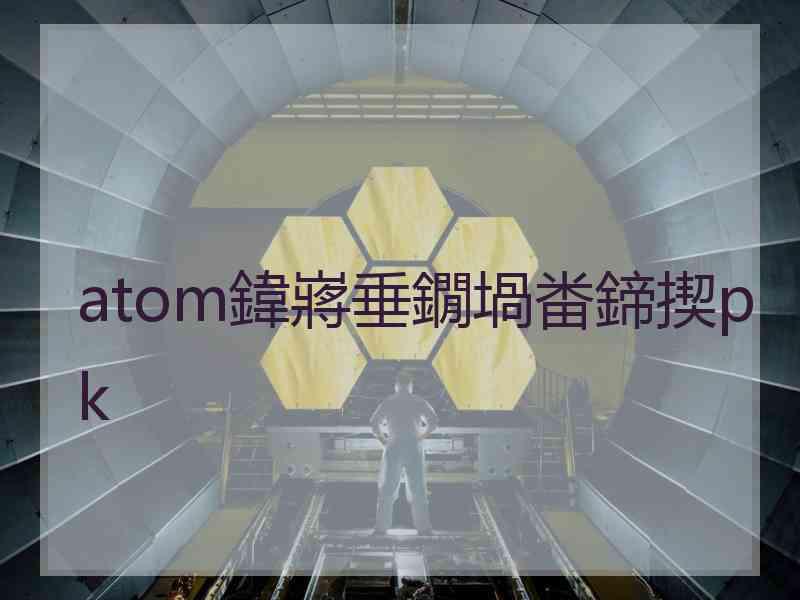 atom鍏嶈垂鐗堝畨鍗揳pk