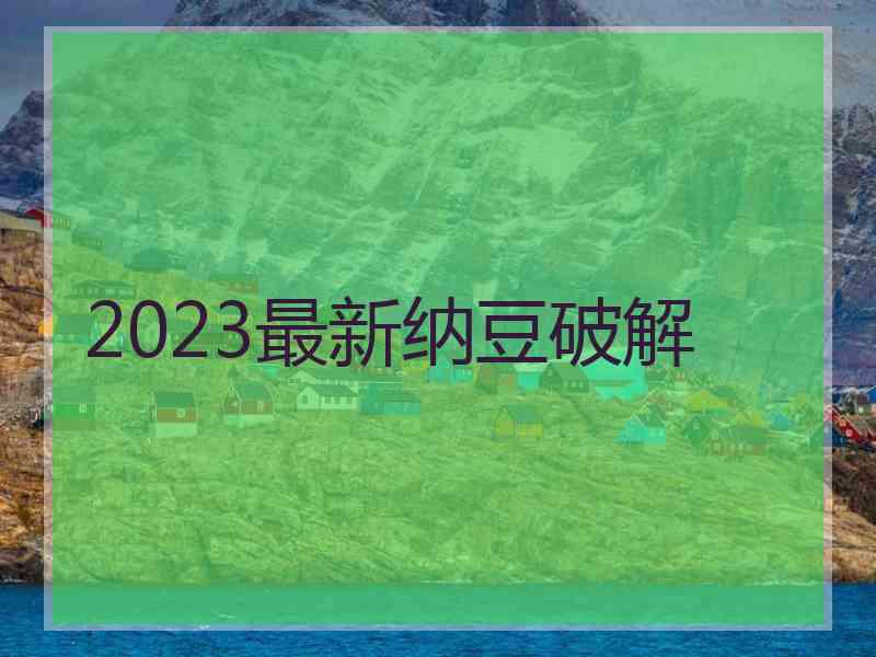 2023最新纳豆破解