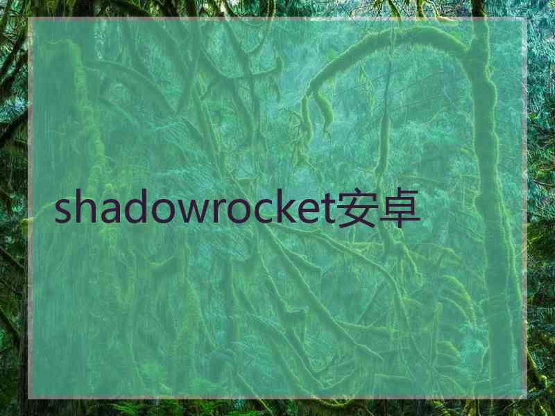shadowrocket安卓