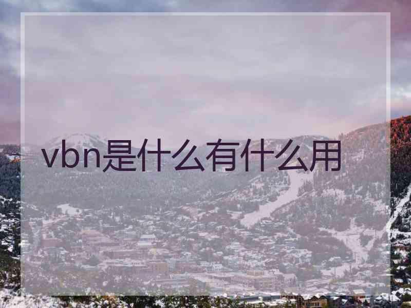 vbn是什么有什么用