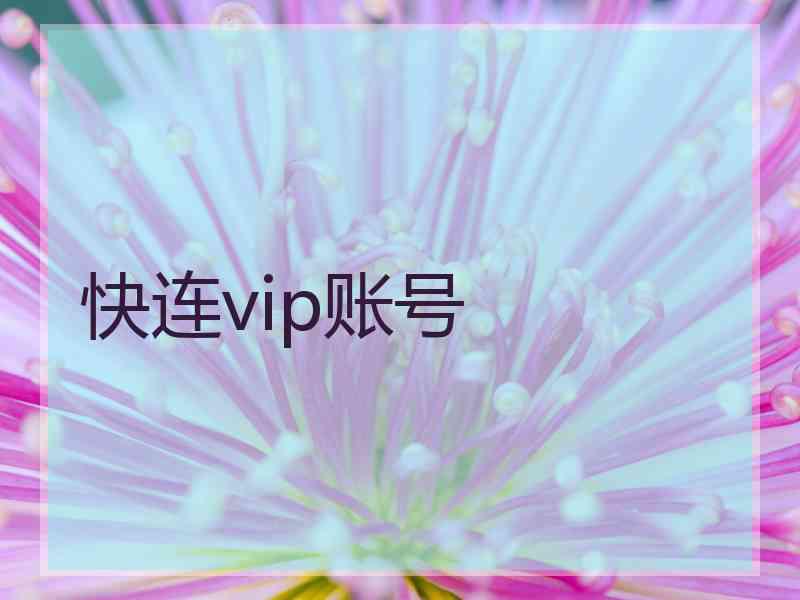 快连vip账号