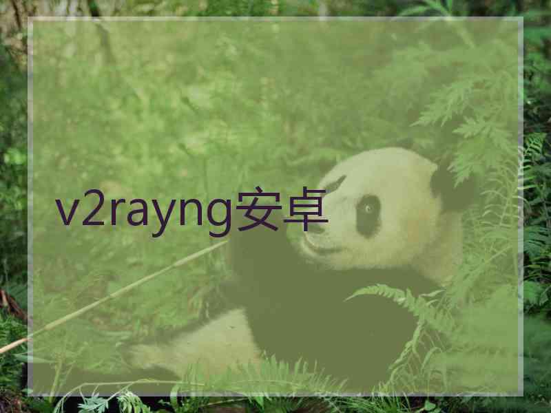 v2rayng安卓