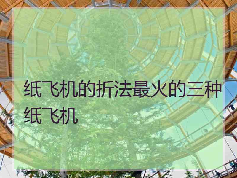 纸飞机的折法最火的三种纸飞机