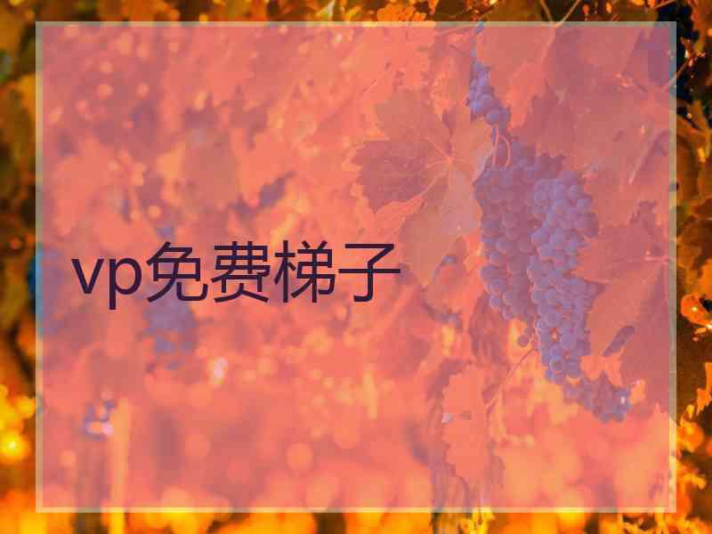 vp免费梯子