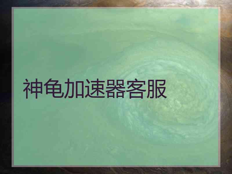 神龟加速器客服
