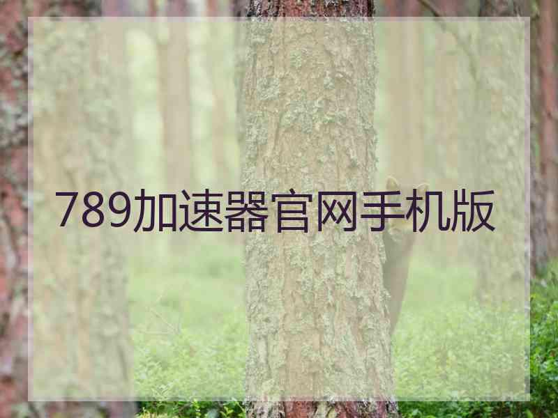 789加速器官网手机版
