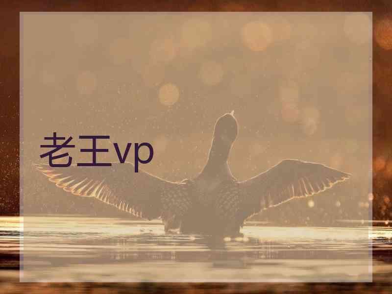 老王vp