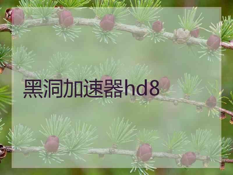 黑洞加速器hd8