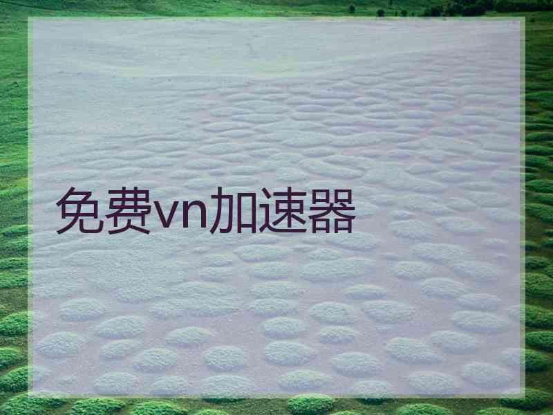 免费vn加速器