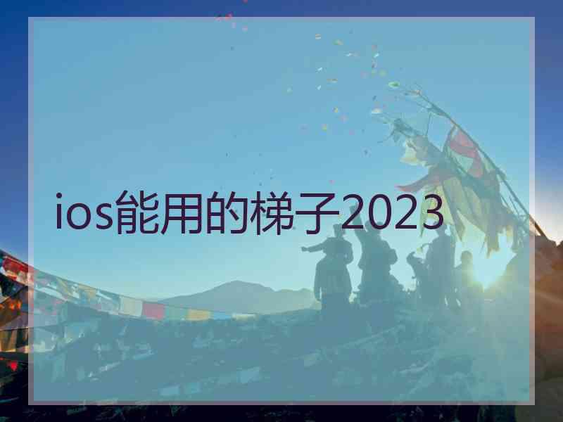 ios能用的梯子2023