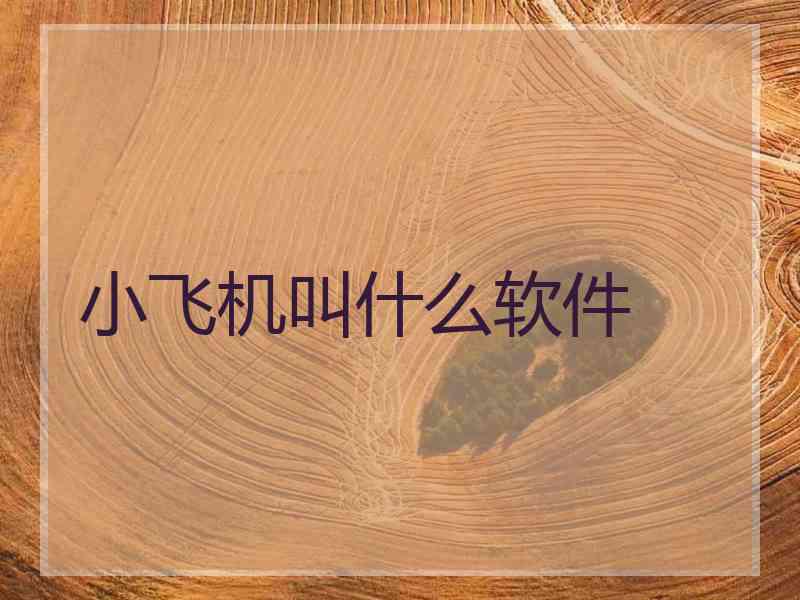 小飞机叫什么软件