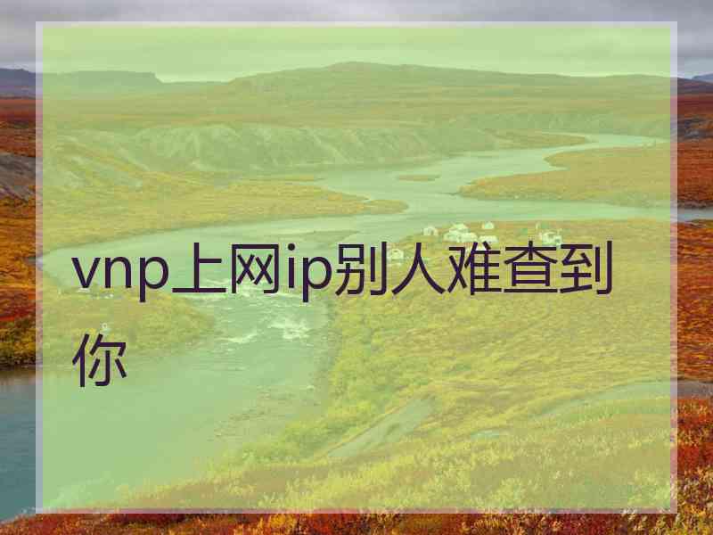 vnp上网ip别人难查到你