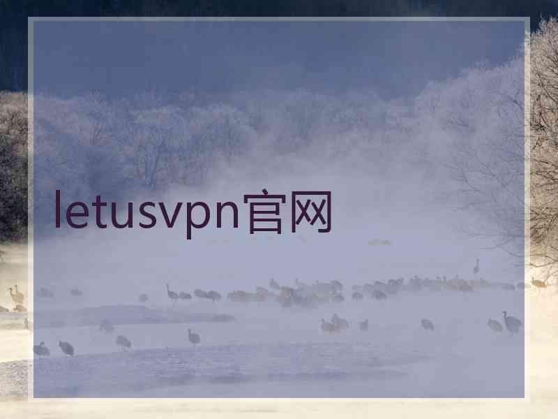 letusvpn官网