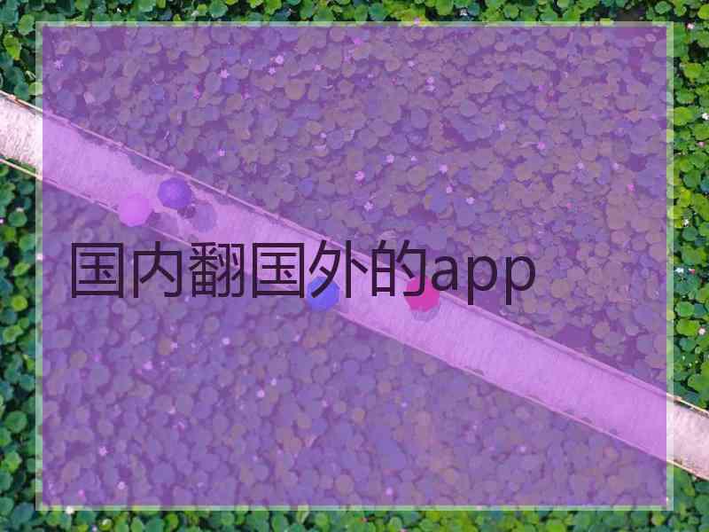 国内翻国外的app
