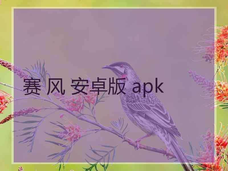 赛 风 安卓版 apk