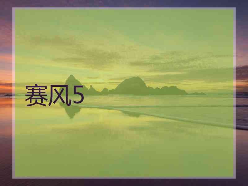 赛风5