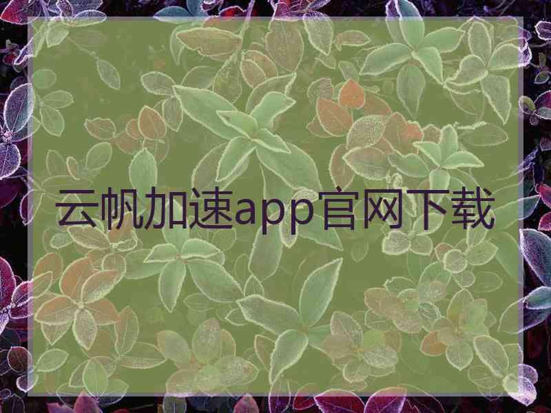 云帆加速app官网下载