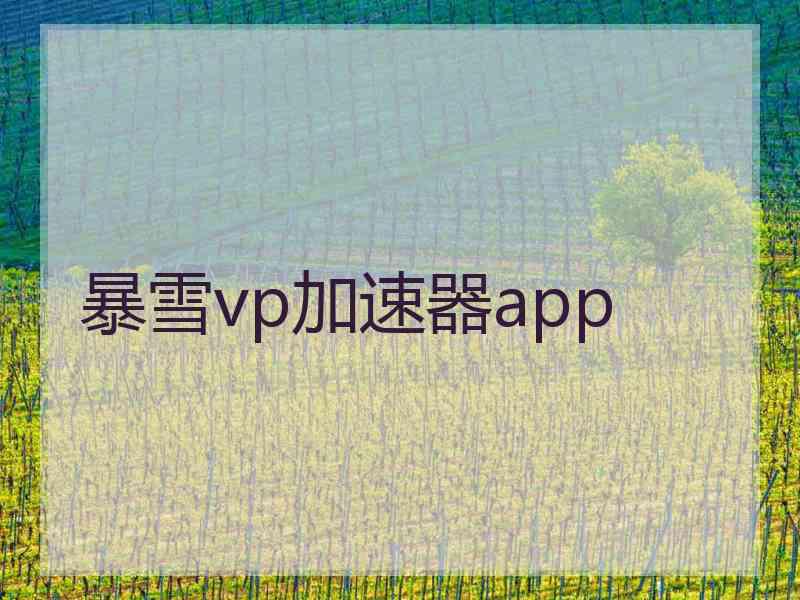 暴雪vp加速器app