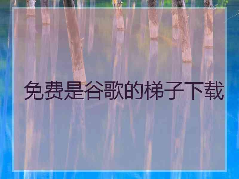 免费是谷歌的梯子下载