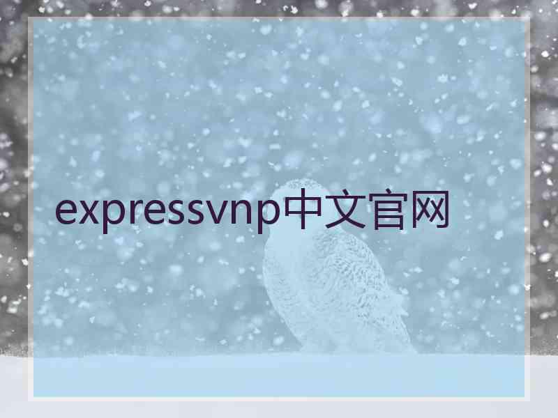 expressvnp中文官网