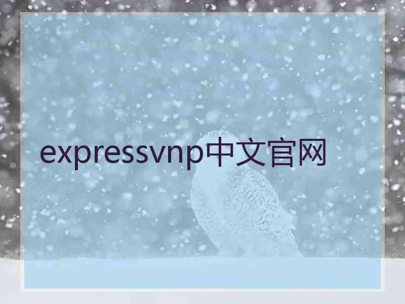 expressvnp中文官网