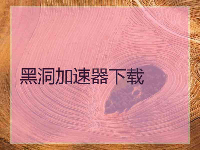 黑洞加速器下载