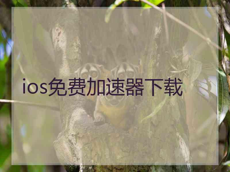 ios免费加速器下载